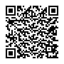 QR Code for Phone number +12603871299