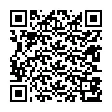 Codice QR per il numero di telefono +12603873060