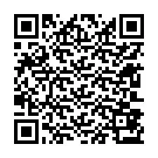 QR-Code für Telefonnummer +12603873354