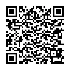 QR-Code für Telefonnummer +12603873464