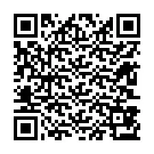 QR-Code für Telefonnummer +12603873471