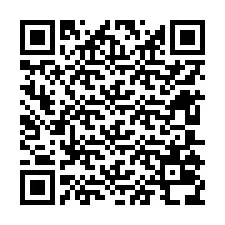 QR-Code für Telefonnummer +12605038540