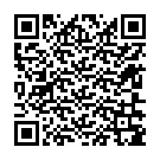 Codice QR per il numero di telefono +12606385001