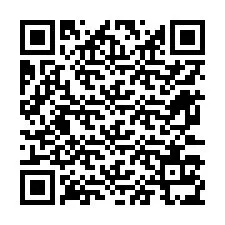 电话号码二维码 +12673135561