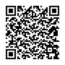 QR Code pour le numéro de téléphone +12813099691