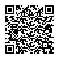 QR Code pour le numéro de téléphone +12813099693