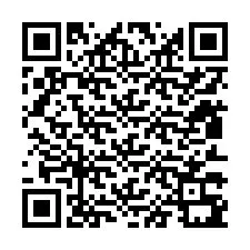 Codice QR per il numero di telefono +12813391144