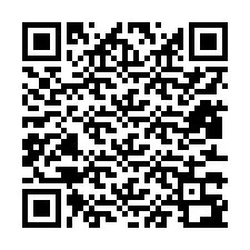 Codice QR per il numero di telefono +12813392087