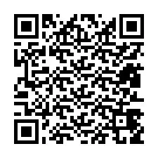 Codice QR per il numero di telefono +12813459877