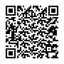 Codice QR per il numero di telefono +12813734433