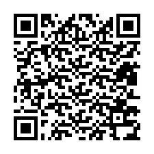 Codice QR per il numero di telefono +12813734767