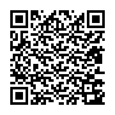 Codice QR per il numero di telefono +12813743346