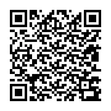 QR-Code für Telefonnummer +12813793134