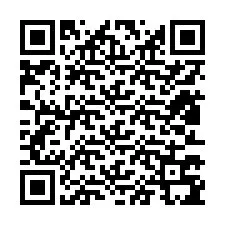 Codice QR per il numero di telefono +12813795039