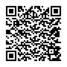 Codice QR per il numero di telefono +12813853699