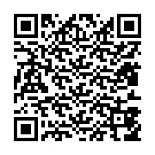 QR-code voor telefoonnummer +12813856006