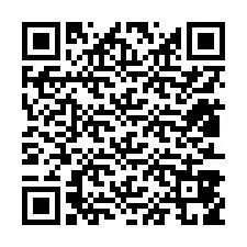 QR Code pour le numéro de téléphone +12813859899