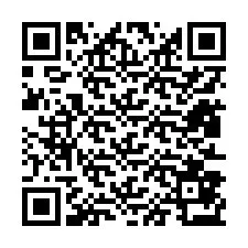 Codice QR per il numero di telefono +12813873797
