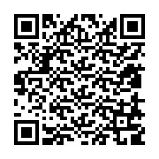 QR Code for Phone number +12818709008