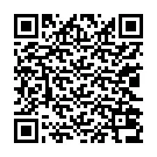QR Code for Phone number +13022036874
