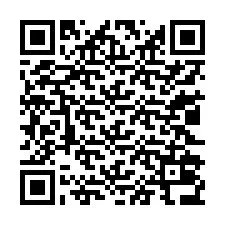 QR Code pour le numéro de téléphone +13022036874