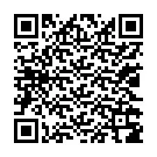 Código QR para número de telefone +13022386869