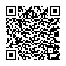 Codice QR per il numero di telefono +13022513464