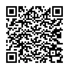 Codice QR per il numero di telefono +13023138736