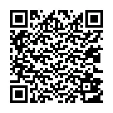 QR-koodi puhelinnumerolle +13023803743