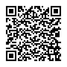 QR kód a telefonszámhoz +13029569464