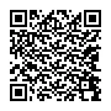 QR-code voor telefoonnummer +13042498999