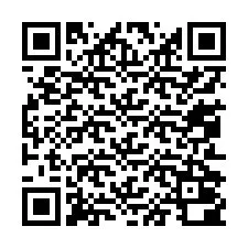 QR-code voor telefoonnummer +13052000253