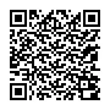 QR-code voor telefoonnummer +13052000441