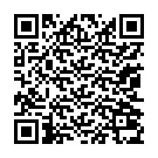 QR код за телефонен номер +13052035395