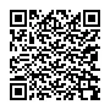 QR Code for Phone number +13052398224