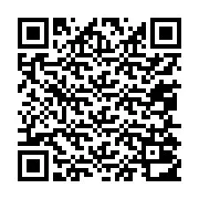 QR-code voor telefoonnummer +13055012223