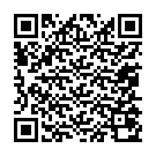 QR-code voor telefoonnummer +13055070177