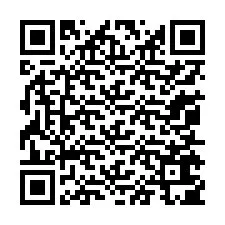 QR Code for Phone number +13055605995