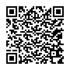 电话号码二维码 +13055618229