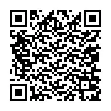 QR-code voor telefoonnummer +13056025436