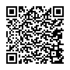 Codice QR per il numero di telefono +13056453027