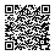 QR kód a telefonszámhoz +13056638899