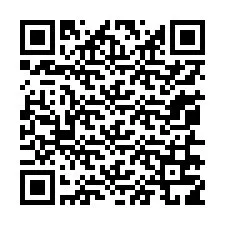 電話番号のQRコード +13056719045