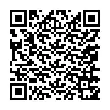 QR Code for Phone number +13056751466