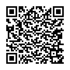 QR Code สำหรับหมายเลขโทรศัพท์ +13056751466