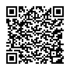 QR-Code für Telefonnummer +13058502868