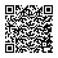 QR-код для номера телефона +13058538936