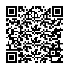 QR-koodi puhelinnumerolle +13059010986