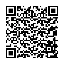 QR-code voor telefoonnummer +13059953700