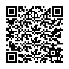 Codice QR per il numero di telefono +13123867439